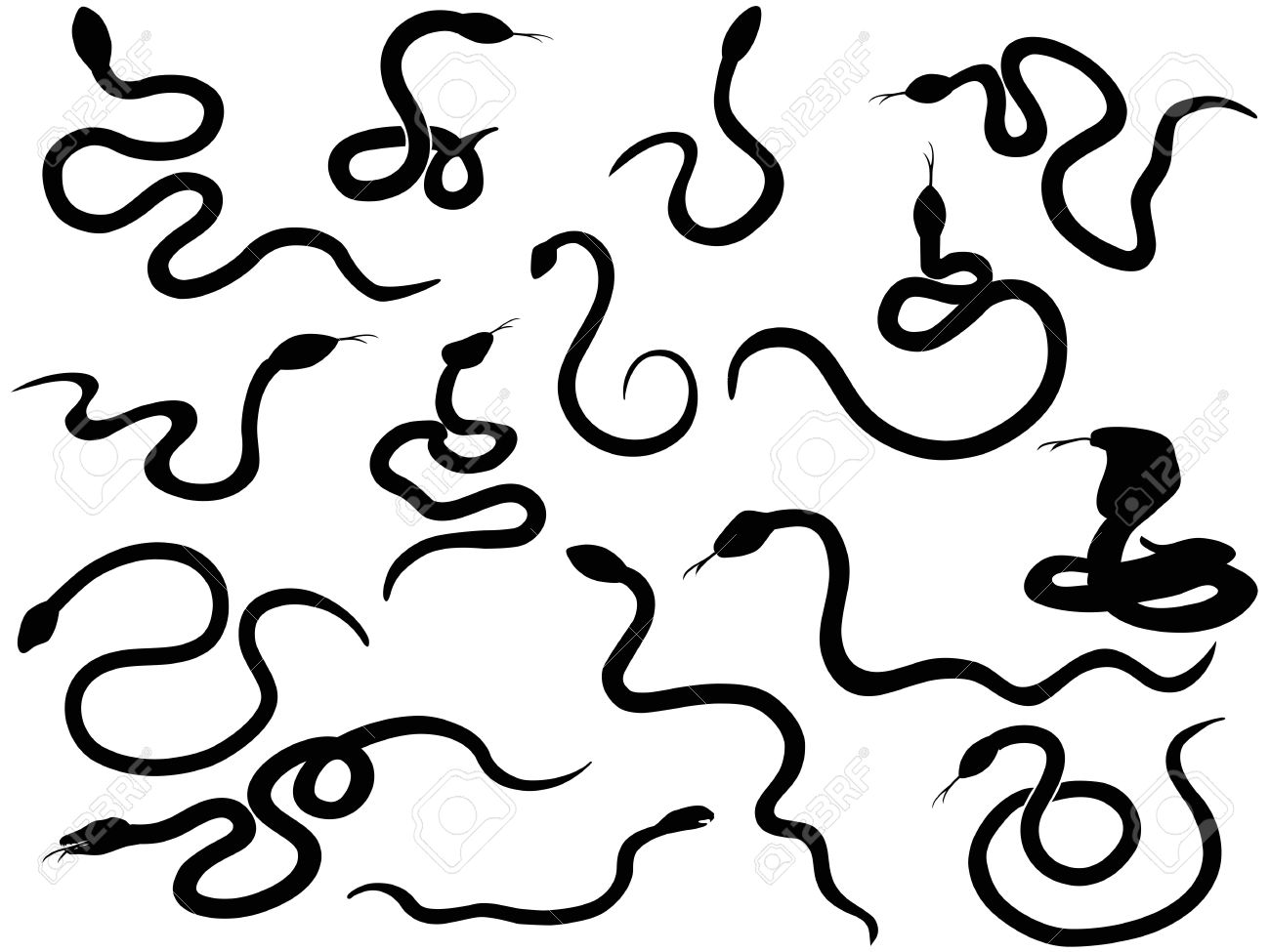 1300x975 Drawn Snake Small Snake