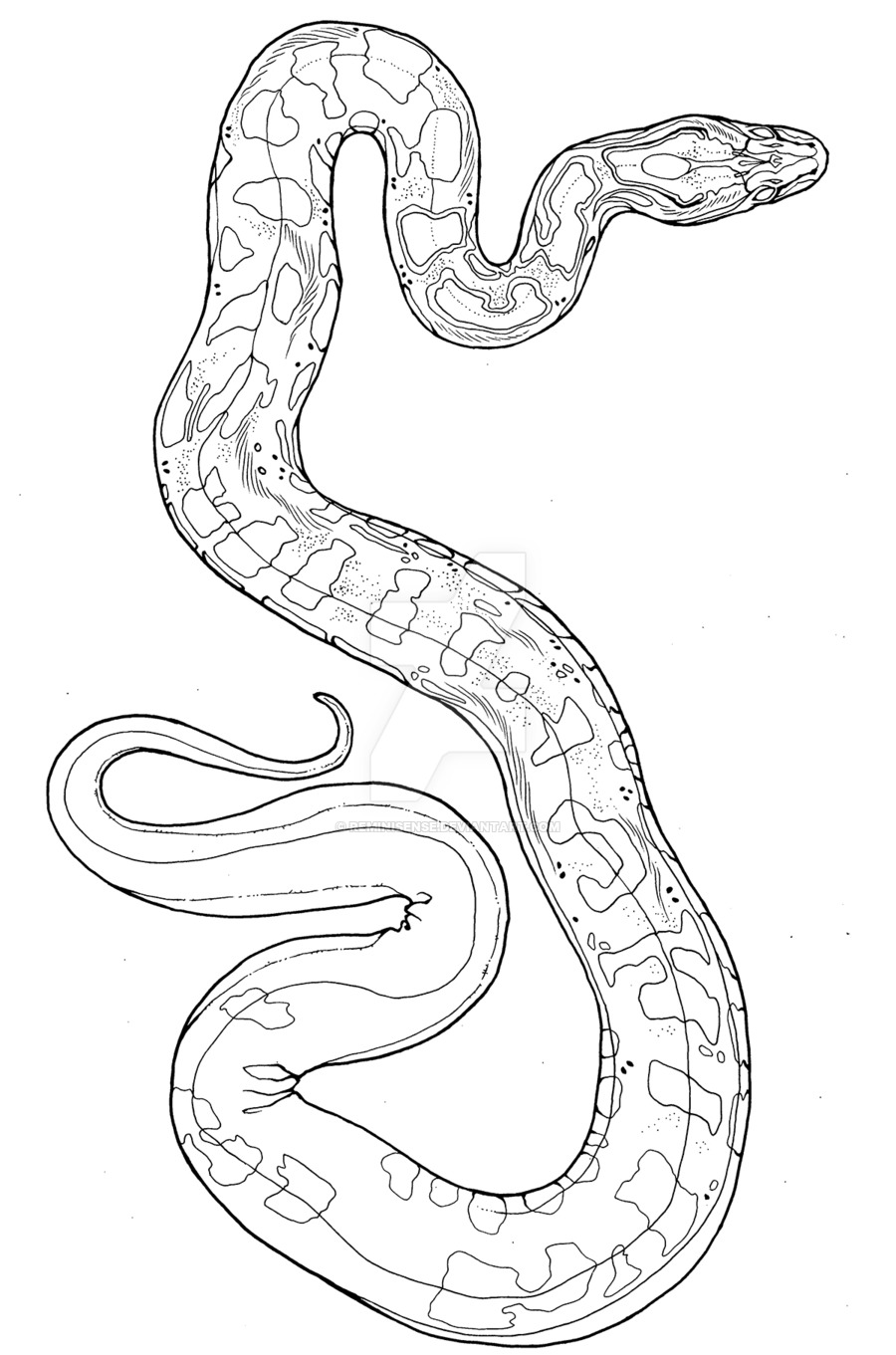 Snake Line Drawing at GetDrawings | Free download