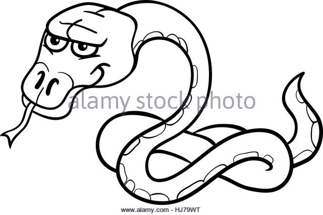 640x427 Funny Snake Black And White Stock Photos Amp Images