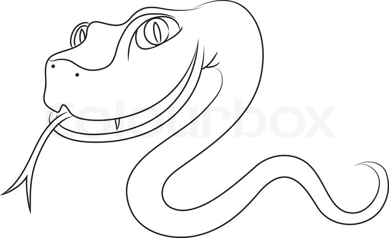 800x490 Inscription, Snake Style, The Letter S Is Created From The Snake