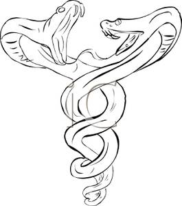 265x300 Outline Of Two Hissing Snakes