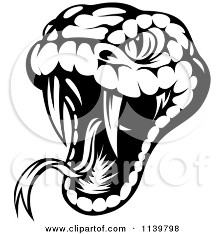 450x470 Vipers Clipart