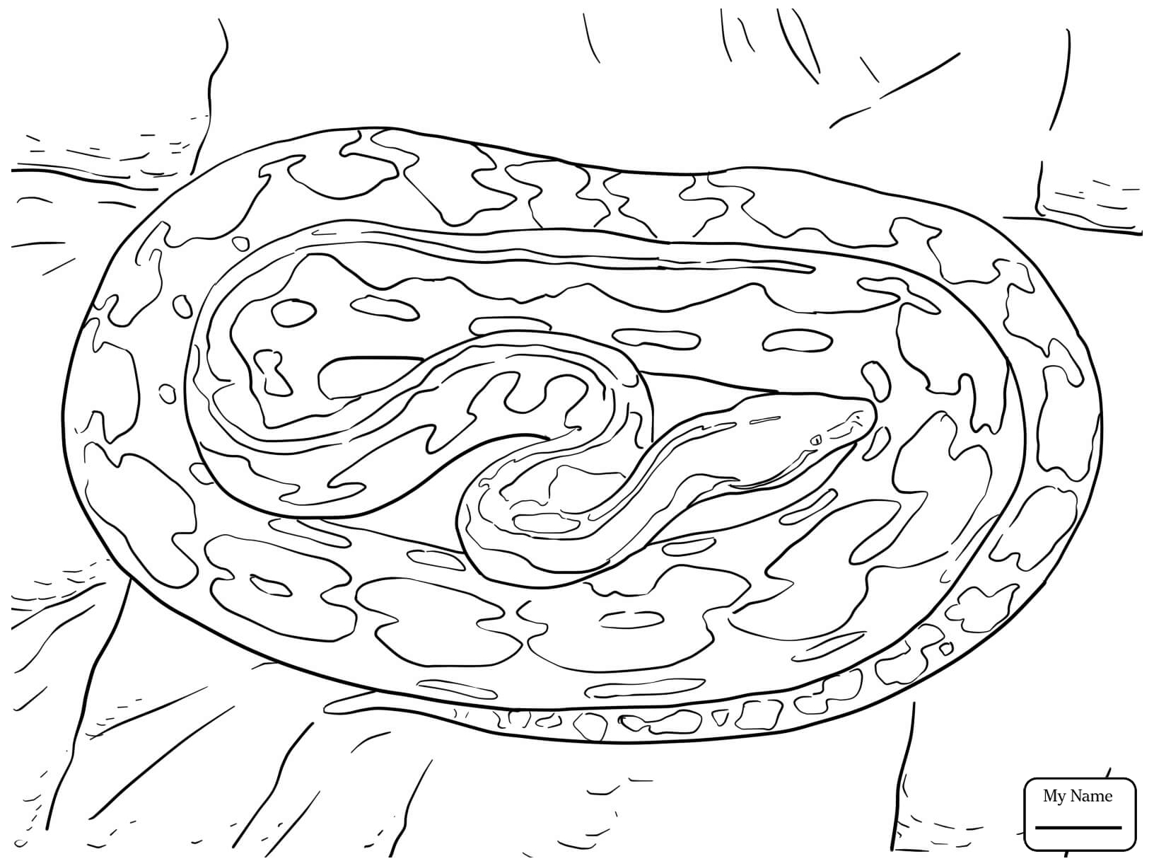 1632x1224 Reptiles Bull Snake Coloring Pages For Kids