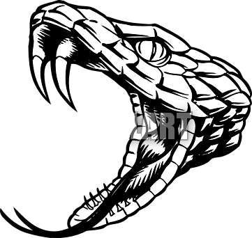 361x342 Snake Head Drawing