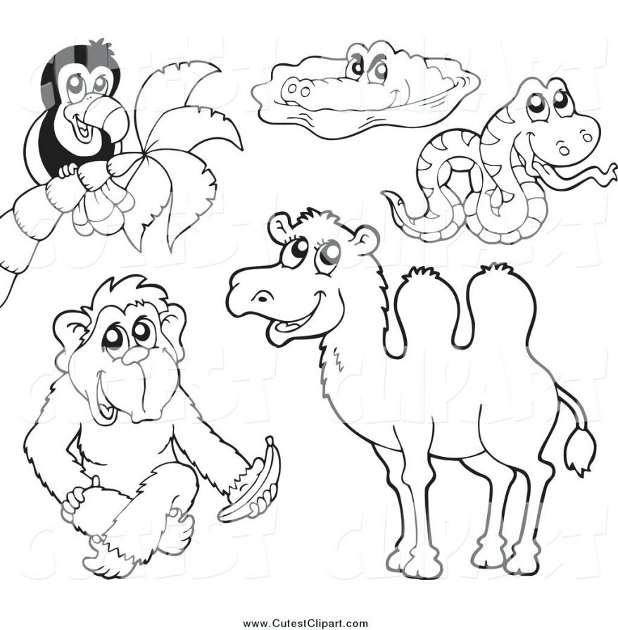 878x895 Black And White Toucan Crocodile Snake Monkey Camel 132 Cool