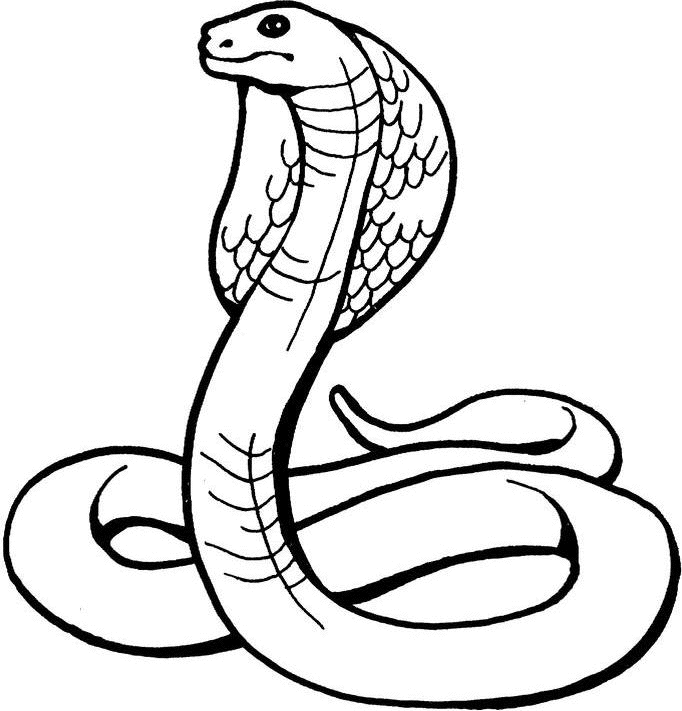 682x711 Snake Clipart Black And White