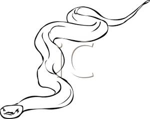 300x237 Of A Snake Slithering