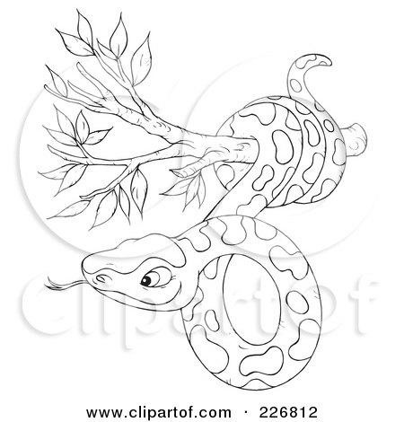 450x470 Coloring Page Outline Of A Snake In A Tree Posters, Art Prints By