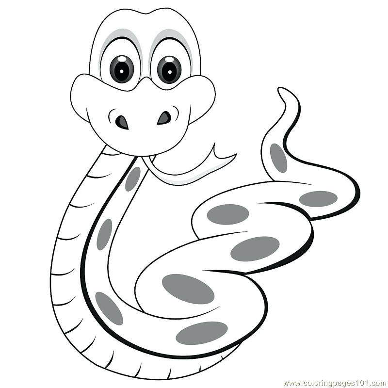 Snake Outline Drawing at GetDrawings | Free download