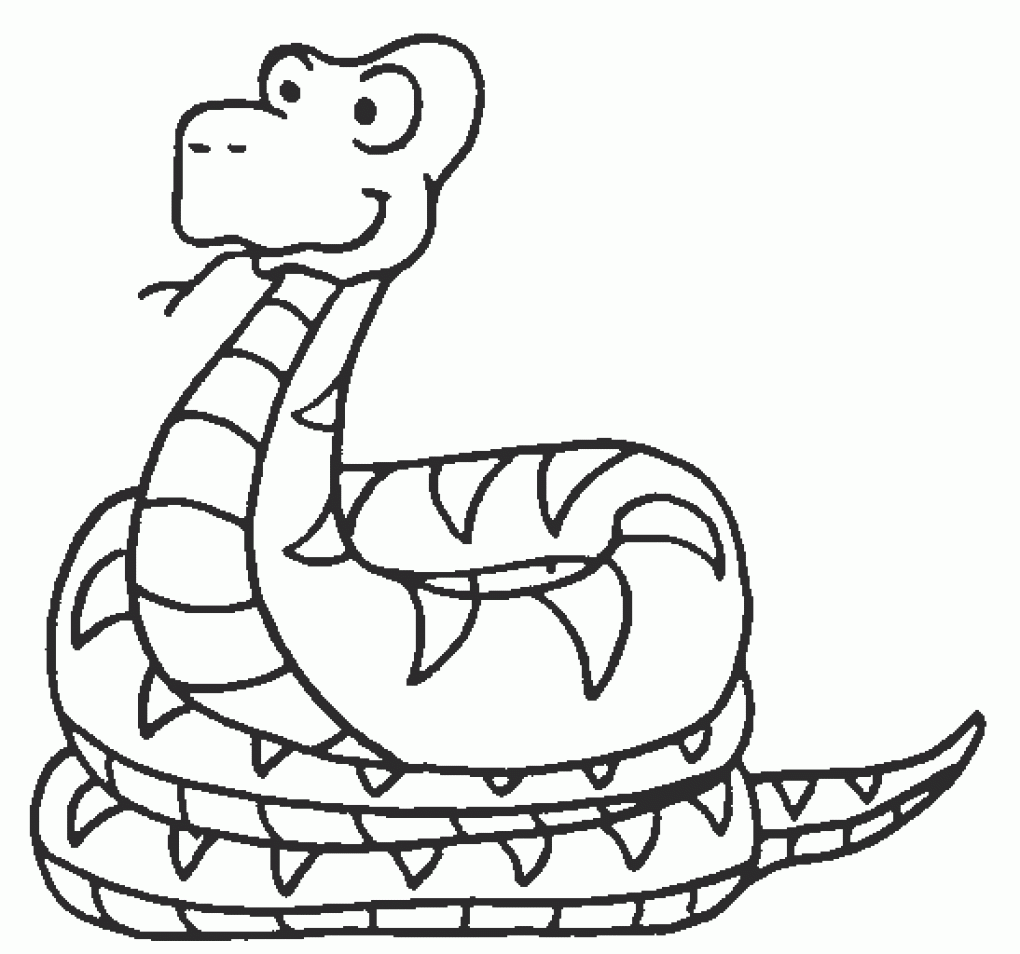1020x954 Drawing Clipart Snake