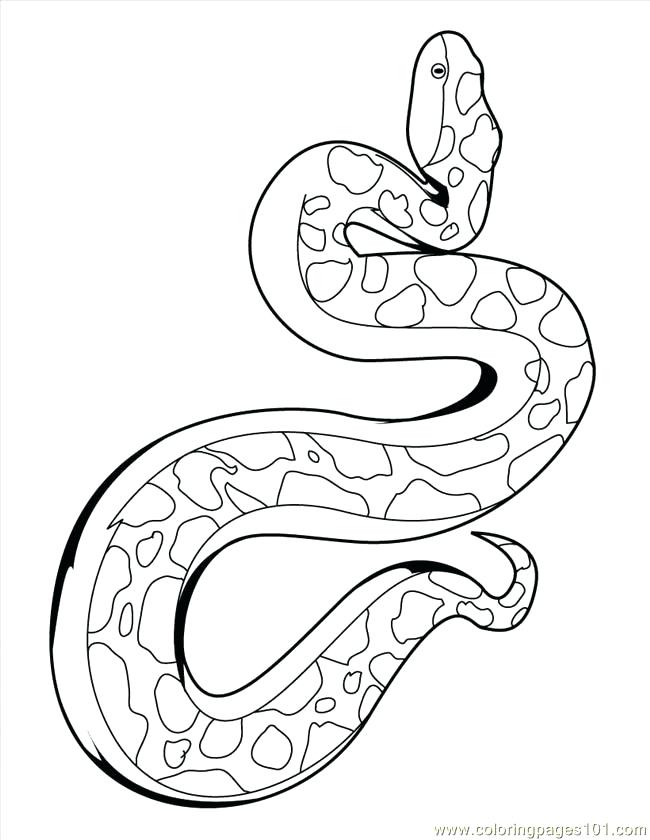 650x840 King Cobra Coloring Page Pencil And In Color Pages Snakes Cobras