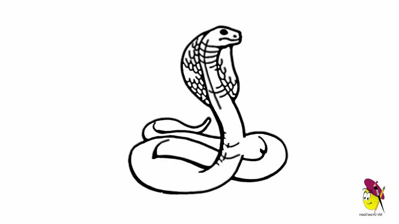 1280x720 Rainforest Animals Snake Easy To Draw