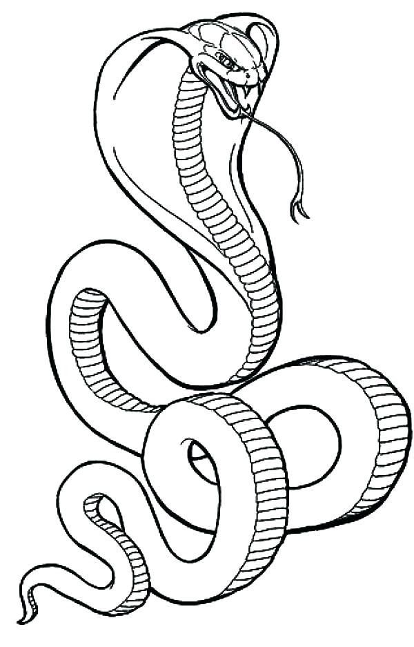 600x937 Seasonal Coloring Pages Free Coloring Pictures Of Snakes
