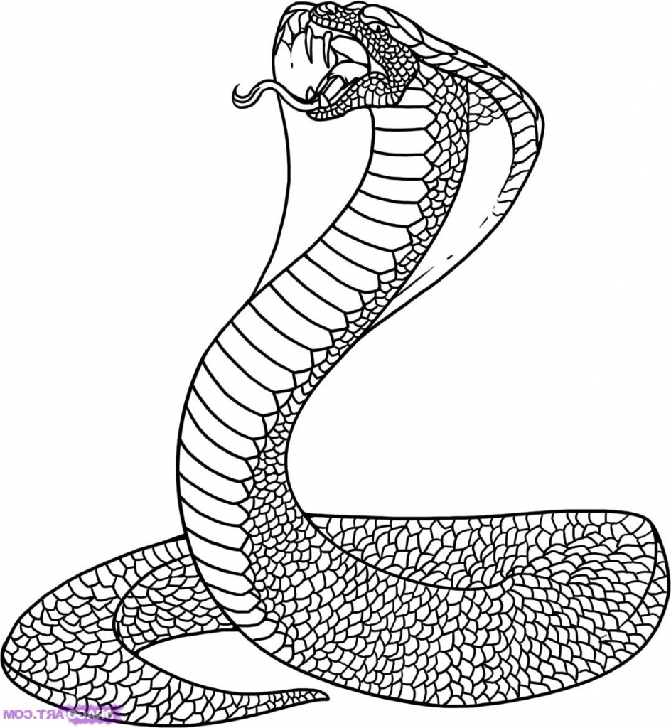 944x1024 Simple Drawing Of A Snake Simple Snake Drawing
