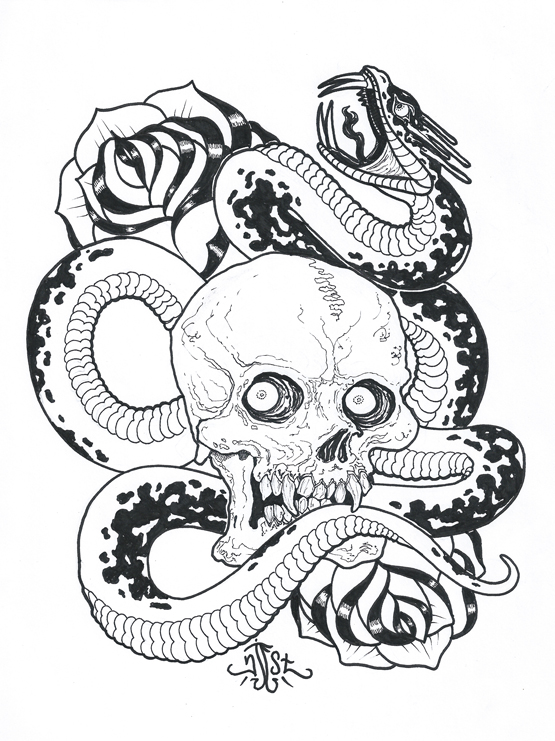 555x741 Skull And Snake Drawing By Njeststudio