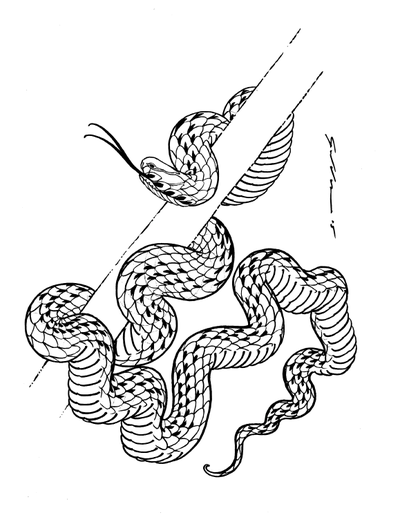 400x524 Drawn To Scale