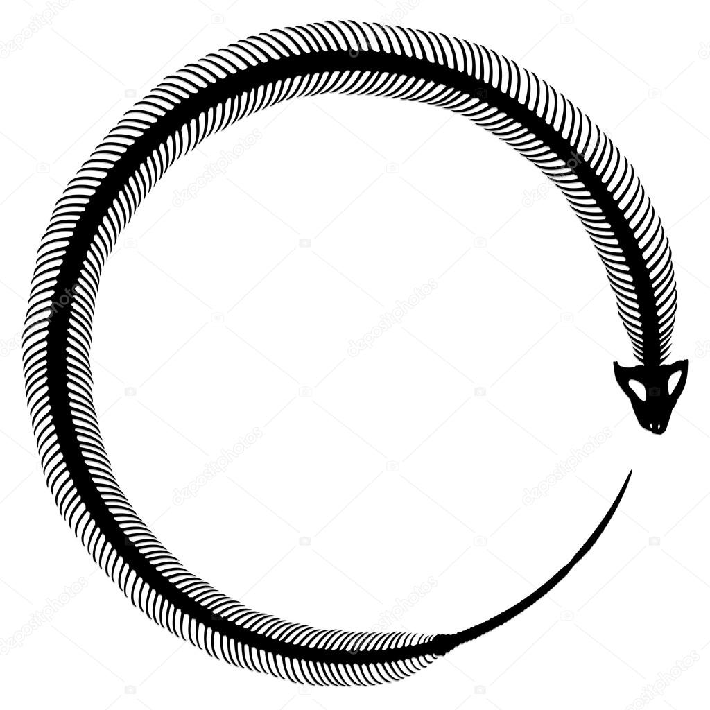 1024x1024 Skeleton Of Snake. Stock Vector Designer