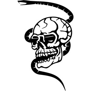 300x300 Skull With Snake Vector Vector Free Download