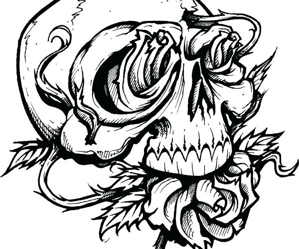 Snake Skull Drawing at GetDrawings | Free download