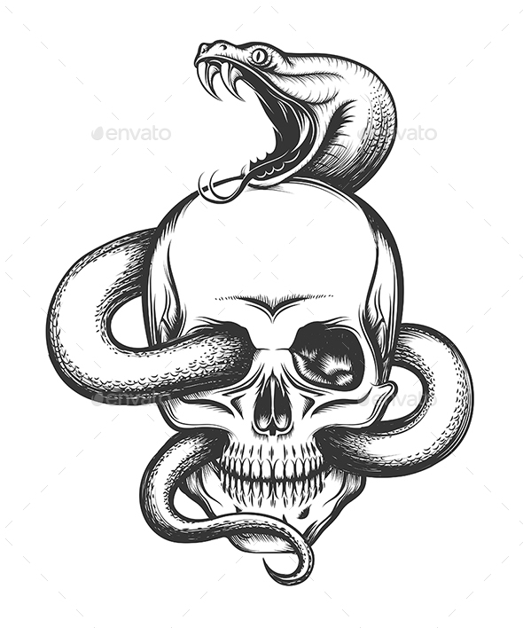 590x708 Snake And Skull Engraving Illustration By Olena1983 Graphicriver