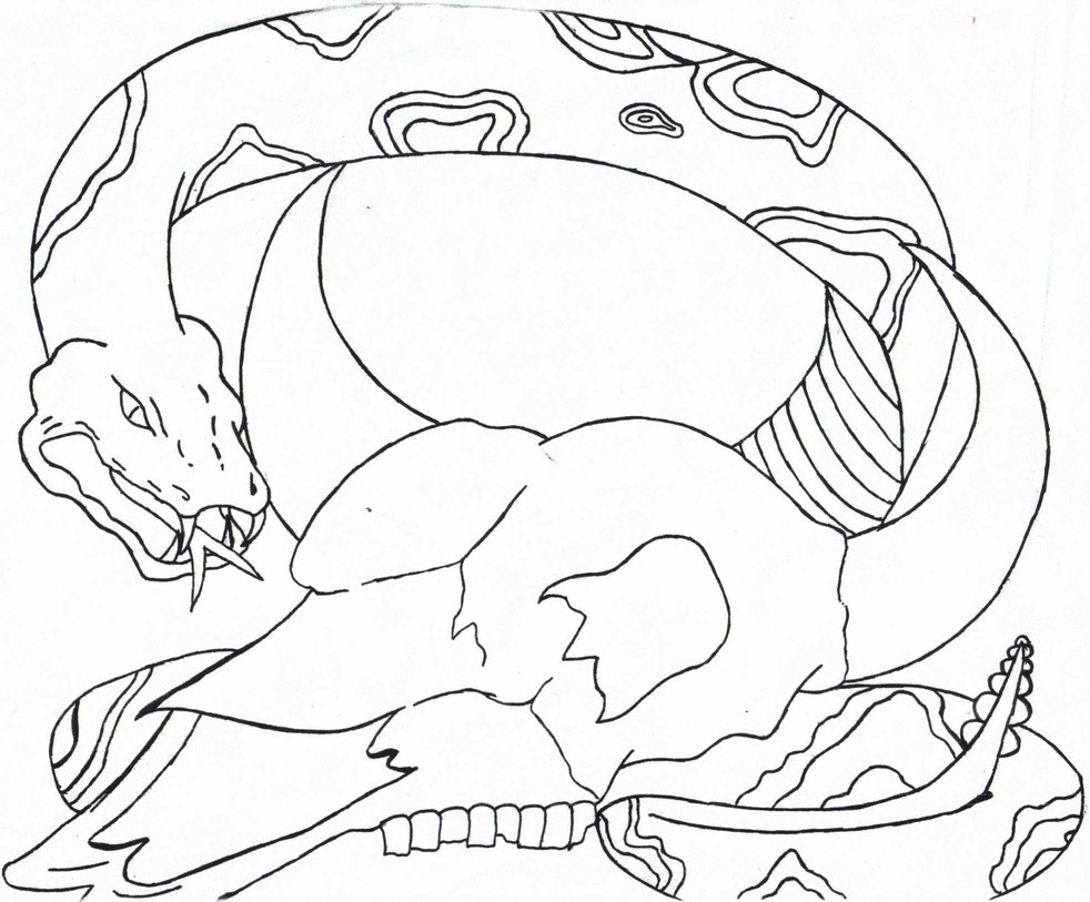 982x813 Snake And Skull By Benadeafondelat