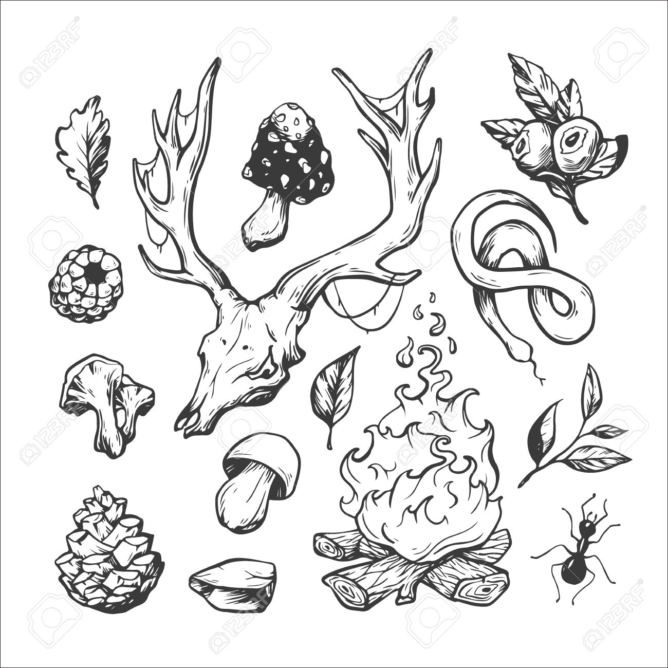 1300x1300 Wildlife And Forest. Hand Drawn Vector Elements. Campfire