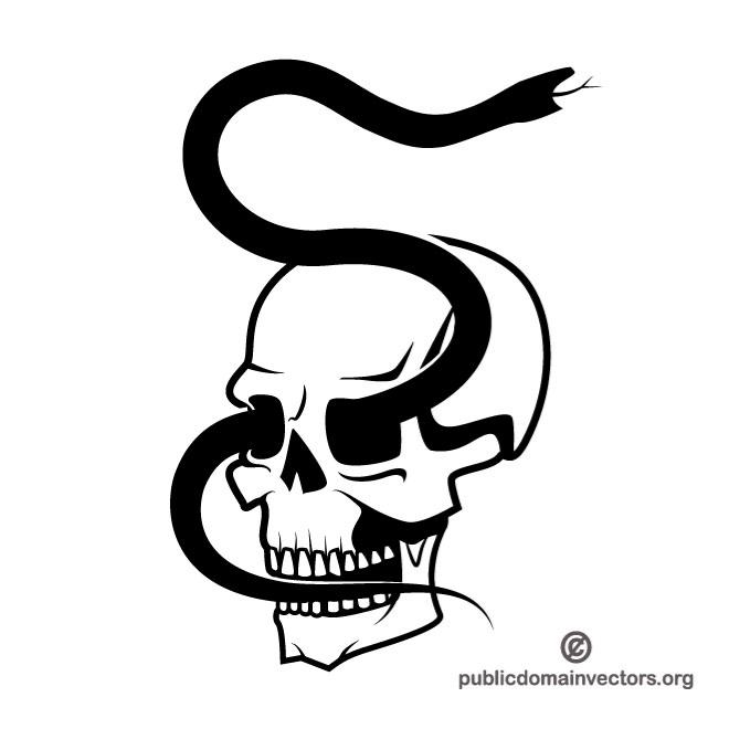 660x660 Black Snake In A Skull
