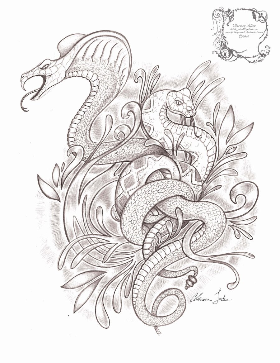 Snake Tattoo Drawing at GetDrawings | Free download