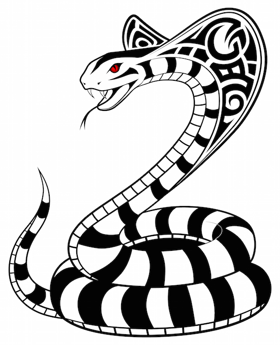 569x700 Snake Tattoo Meaning