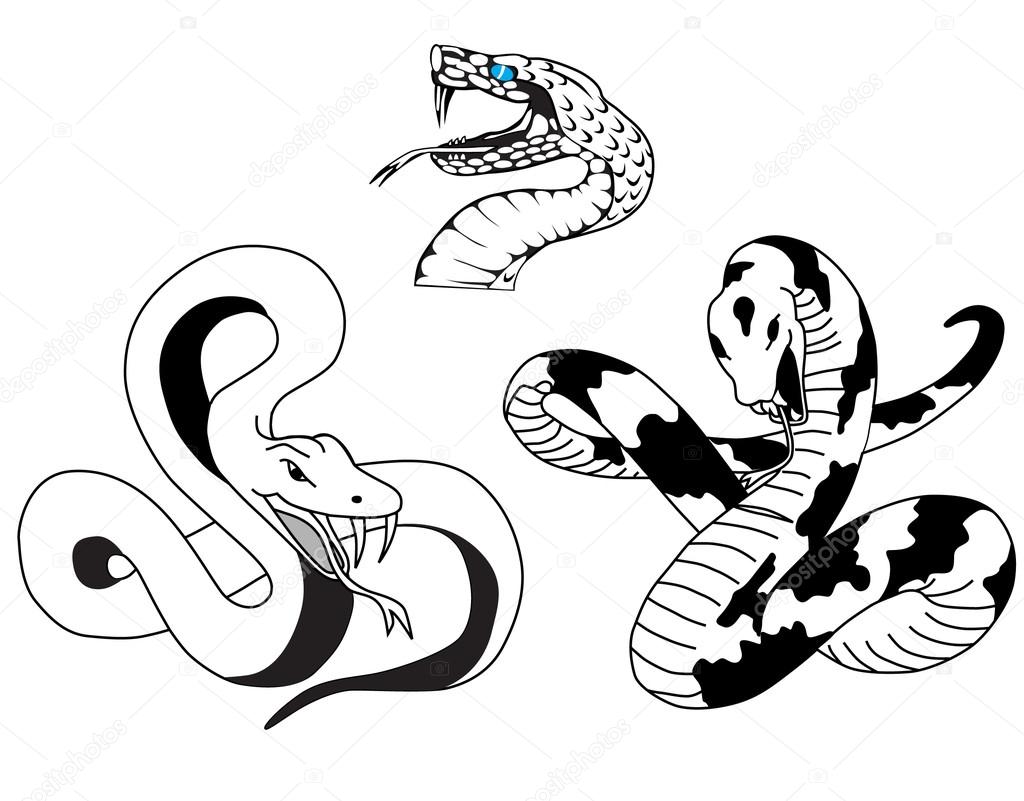 1024x801 Snake Tattoo Stock Vector 160377