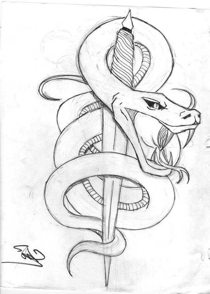 728x1018 Snake Tattoo Designs For Girls Tattoo Designs