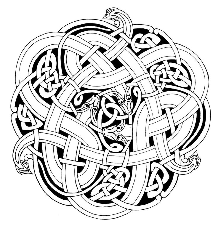 736x763 Collection Of Head Of Snake And Celtic Patterns Tattoo Design