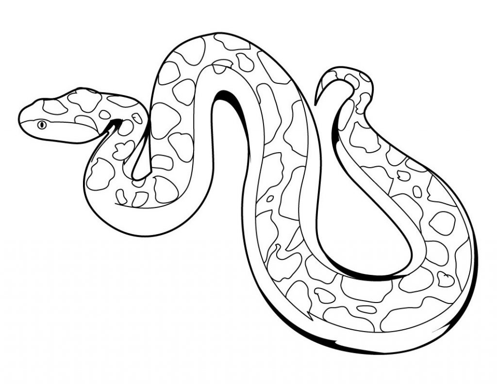 1024x792 Coloring Pages Of Snakes Colouring To Pretty Page Draw Kids