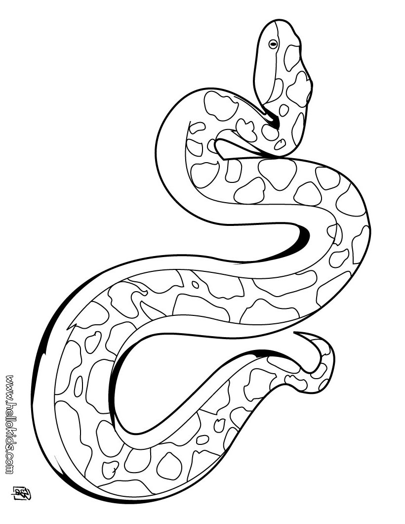 820x1060 Snake Coloring Pages