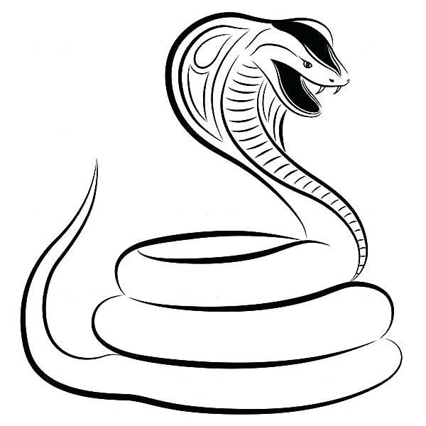 600x600 Coloring Pages Snakes