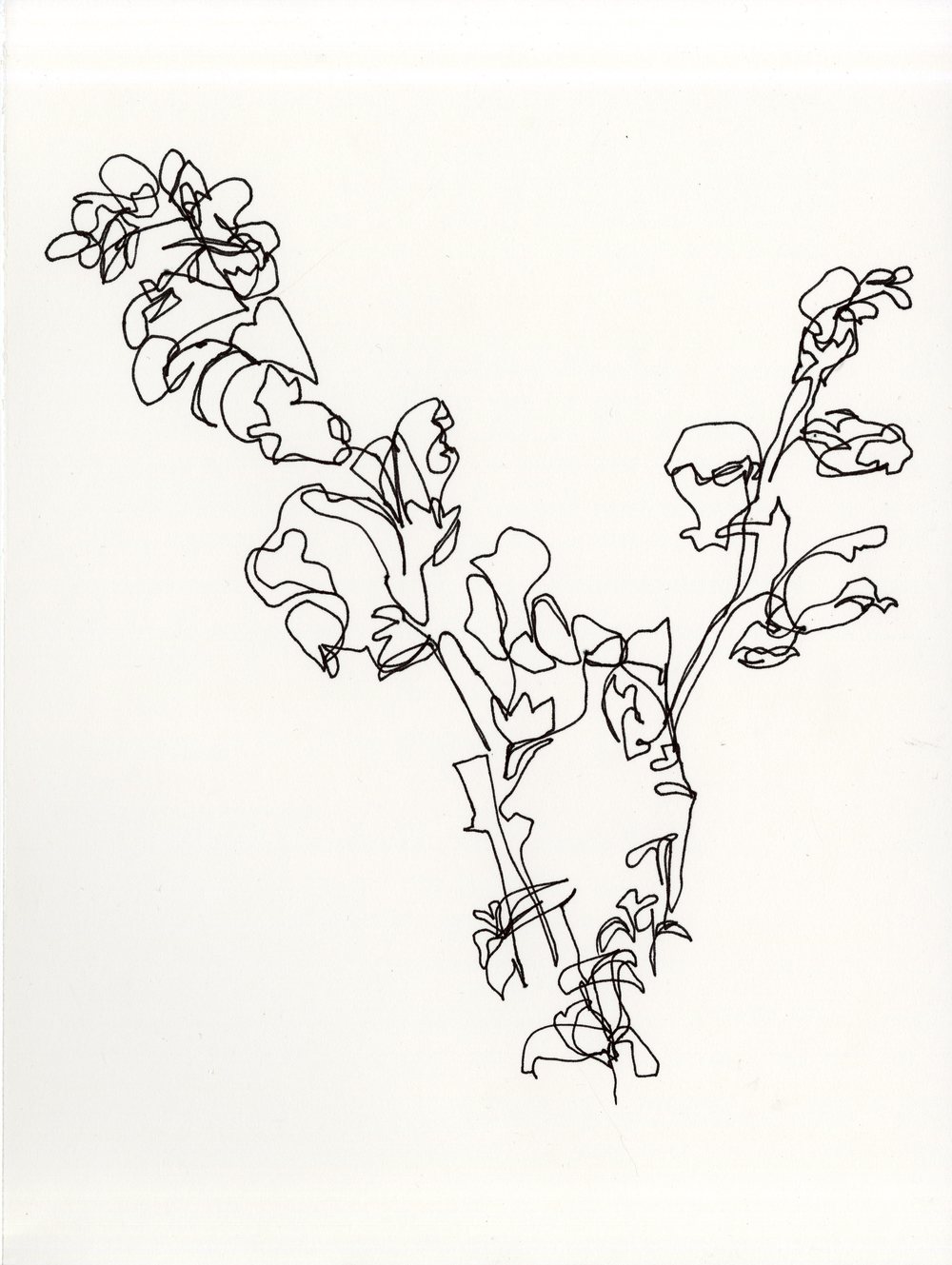 1000x1329 Drawing Amp Painting Jessica Lynn Foster