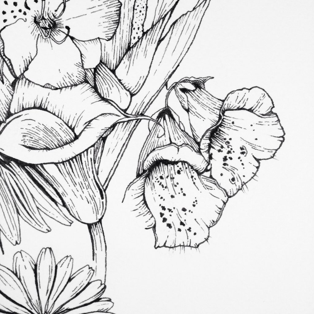 1024x1024 February Flower Drawing Challenge Moongirl Art