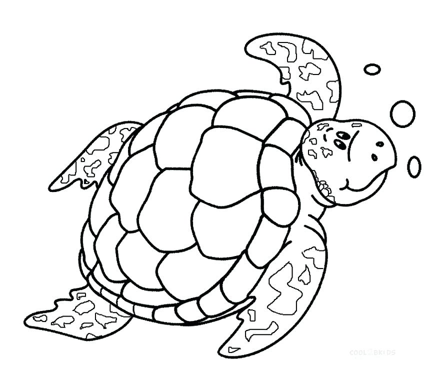 850x770 Coloring Pages Turtle Colouring Sea Turtle Coloring Pages Fresh