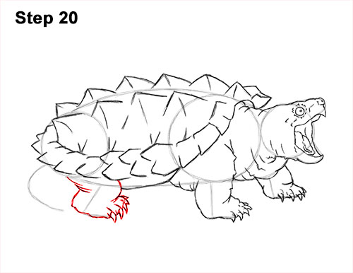 500x386 How To Draw An Alligator Snapping Turtle