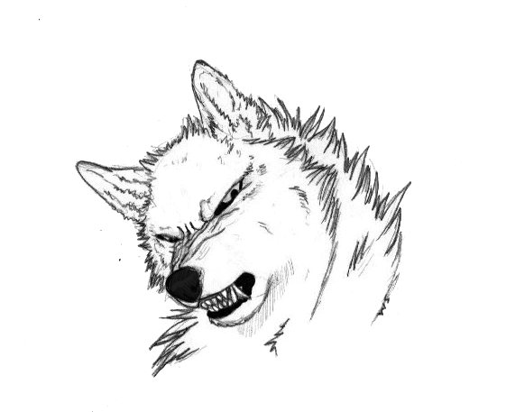 Snarling Wolf Drawing at GetDrawings | Free download