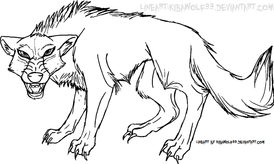 900x540 Snarling Wolf Line Art Free By Kibawolf33