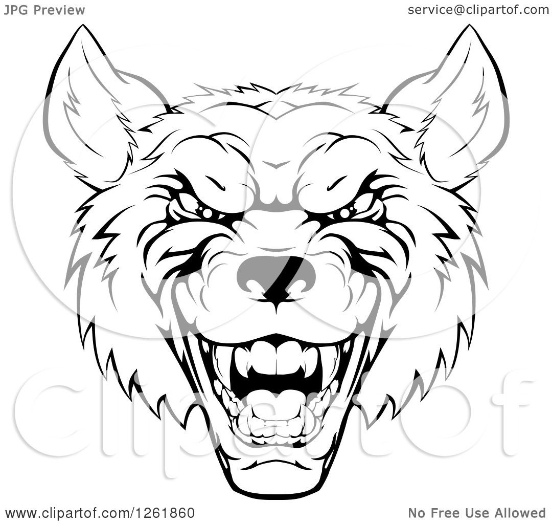 1080x1024 Clipart Of A Growling Black And White Aggressive Wolf Face