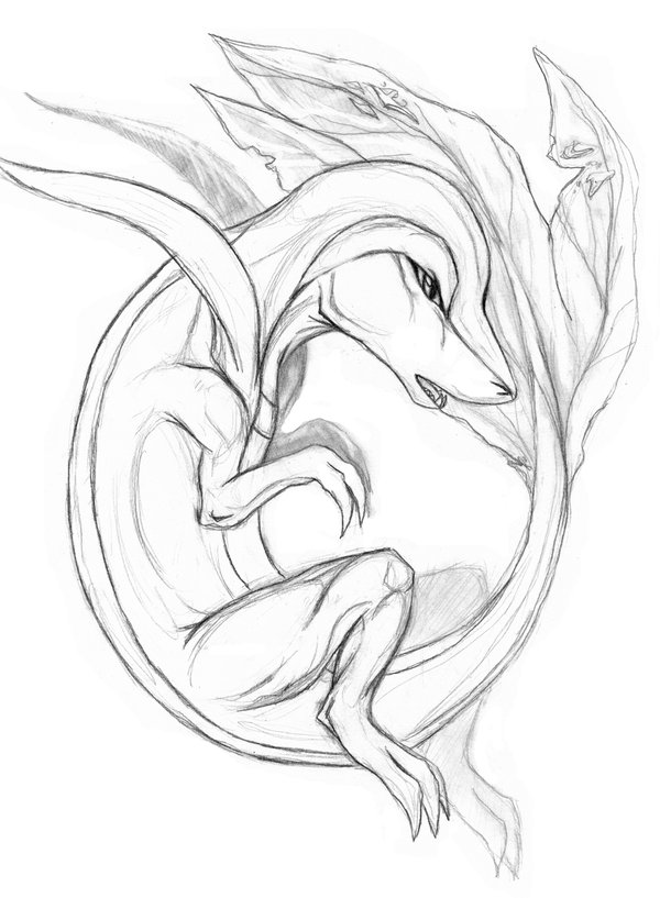 600x817 Snivy Sketch By Whiteexterior