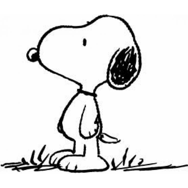 736x736 Snoopy Peanuts Wiki Fandom Powered By Wikia