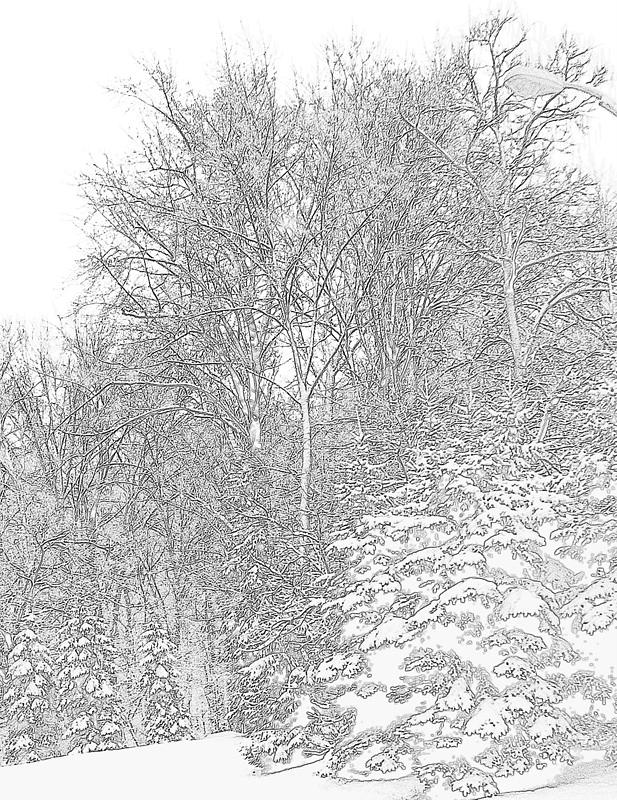 617x800 Pencil Drawing Of Snow Storm Photograph By William Rogers