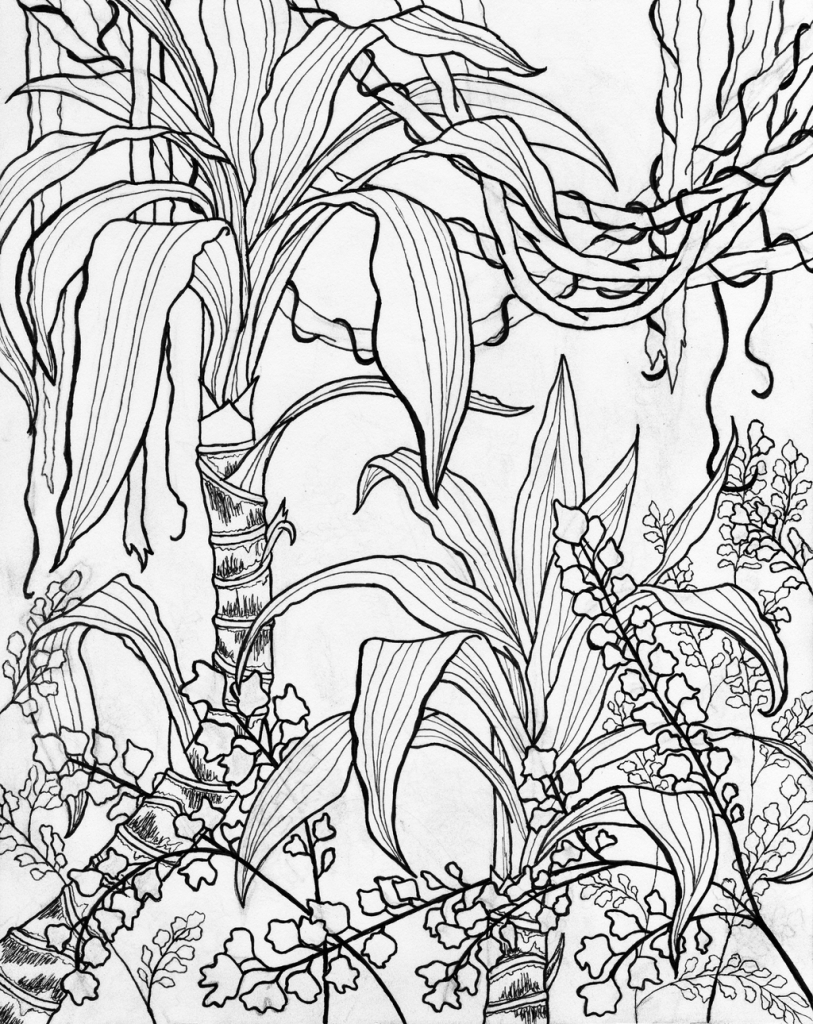 813x1024 Contour Line Landscape Drawing Colored Thread Blind Contour Snow