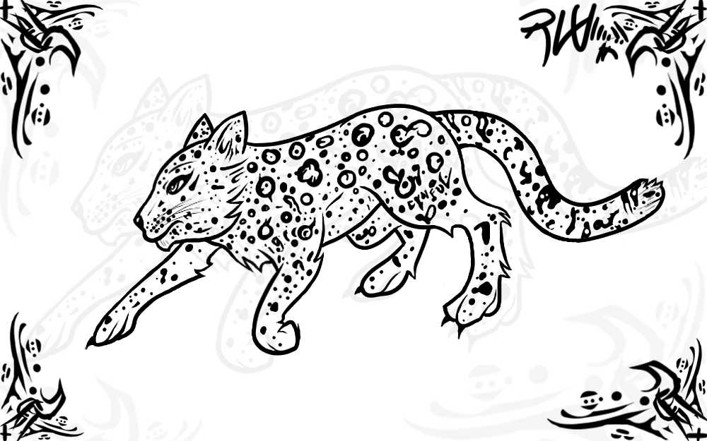 1000x625 Snow Leopard