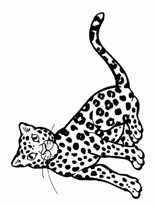 650x866 Snow Leopard Coloring Page