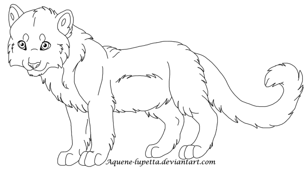 1024x569 Snow Leopard Cub Free Lineart By Aquene Lupetta