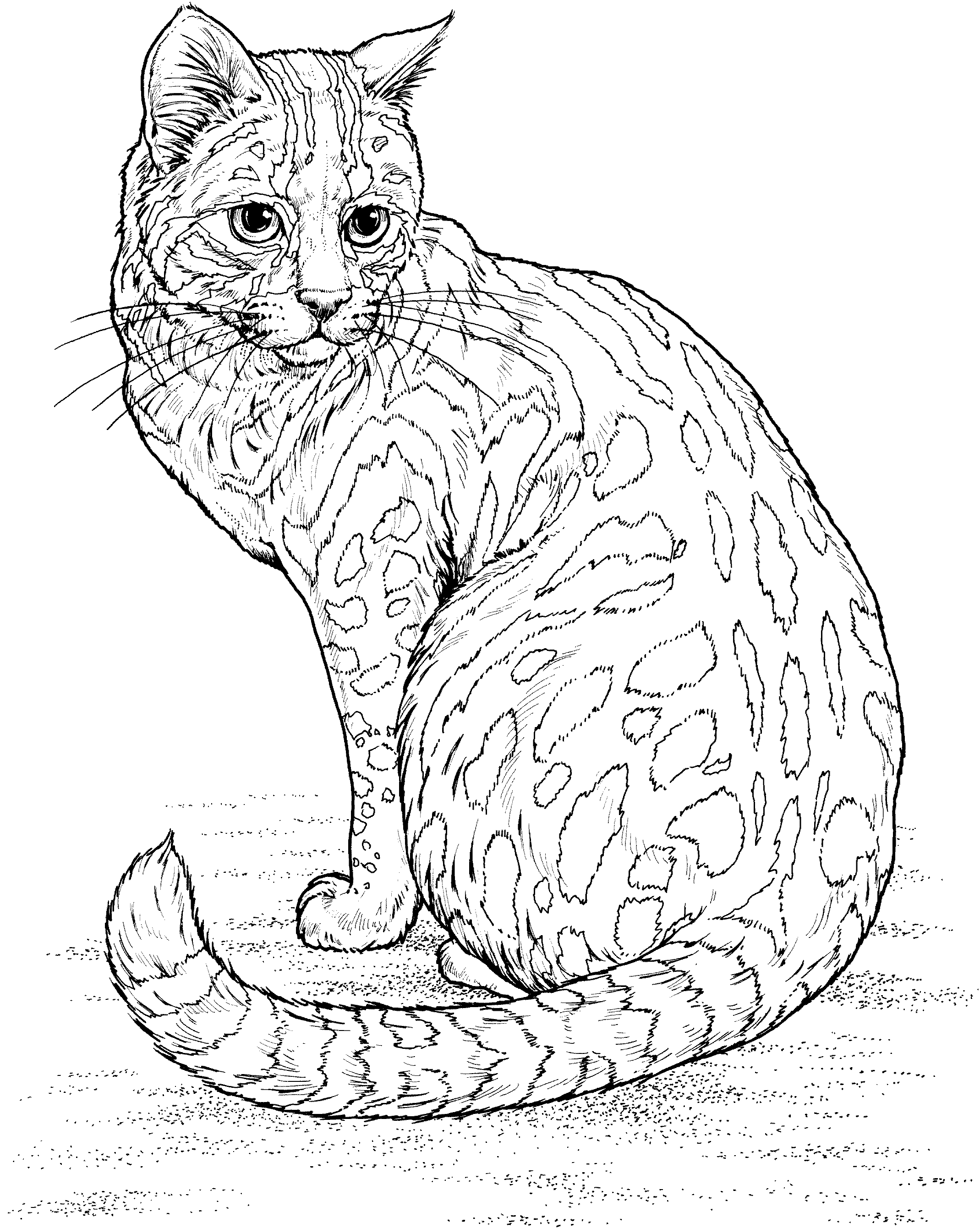 2139x2681 Free Leopard Coloring Pages